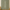 Window-Print Cotton Kids Curtains – Teal Architectural Drapes, Light-Filtering or 100 % Blackout | Made-to-Measure
