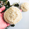 Natural Organic Sisal Deluxe Shower Sponge - Zero Waste Bath Sponge - Plastic Free Body Scrubber-3