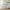 Waffle Weave Pure Linen Duvet Cover Sets-12