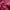 Raw Edged Berry - 100% Pure Linen | Linen Cotton Mix | 3 Piece Duvet Cover Set | 4 Piece Sheet Set | Handmade | Pre-washed | Soft-2