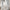Luxury Raw Silk Pinch Pleated Curtains | OEKO-TEX Certified | Made in UK | Blackout/Light Filtering-3