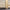 Postelle Wool Rug-3