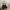 Arrival Autumn Baby Girls Vine Print Bow-Tied Long Sleeves Top And Vintage Strap Overalls Clothing Set