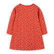 Baby Girl Ditsy Flower Graphic Embroidered Design Long Sleeve Dress