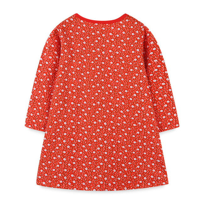 Baby Girl Ditsy Flower Graphic Embroidered Design Long Sleeve Dress
