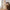 Spring and Autumn Solid Color Long-sleeved Dress with Lace Collar for Stylish Girls
