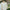 Autumn New Arrival Baby Kids Girls Flowers Embroidery Pattern Long Sleeves Lace Trim Decorated Dress