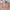 Arrival Autumn Girls Flowers Embroidery Pattern Long Sleeves Pink Dress