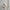 Baby Flower Embroidered Pattern Ruffle Lapel Design Quality Onesies & Shirt