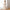 Spring and Autumn Solid Color Long-sleeved Dress with Lace Collar for Stylish Girls