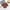 Baby Girl 1pcs Animal Embroidered Pattern Lapel Design Onesies