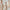 Spring and Autumn Solid Color Long-sleeved Dress with Lace Collar for Stylish Girls