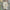 Autumn New Arrival Baby Kids Girls Flowers Embroidery Pattern Long Sleeves Lace Trim Decorated Dress