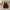 Arrival Autumn Baby Girls Vine Print Bow-Tied Long Sleeves Top And Vintage Strap Overalls Clothing Set