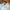 Cooling Comforter Set – Temperature-Regulating Eucalyptus Silk Comforter & Pillow Shams-3