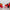 Tinted Lip Balm Duo (2-Pack)-6